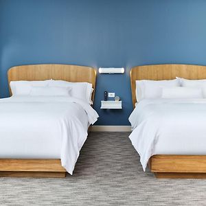 Queen Studio Sofa Bed Hearing Accessible